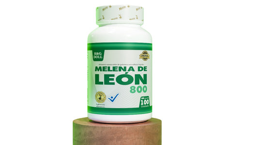 Melena de León 800 – Potencia tu mente y enfoque natural | H&G DOLL (100 unidades)